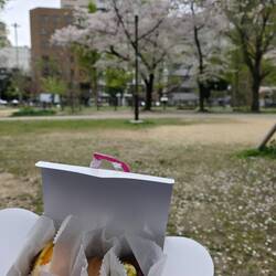 Ein Park nur für uns!