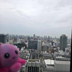 Kostenlose Aussichtsplattform