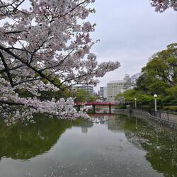Noch ein Park wo fast niemand ist. Malerisch schön