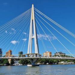 Neue Brücke Kangaro