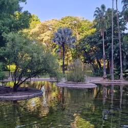Botanischer garten