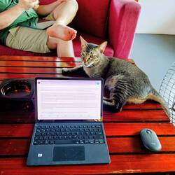 Sie hilft beim Schreiben 🐱