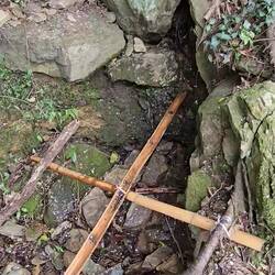 Weird noises from under the creek