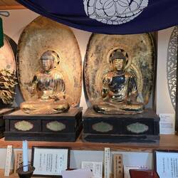 Private tour by a Shintu priest