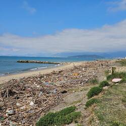 Flotsom and jetsom! A sign says "no swimming"