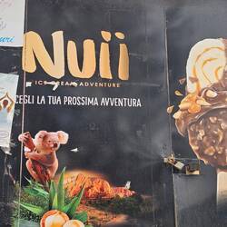 Another reminder of home