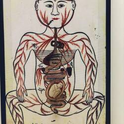 Descrizione corpo umano