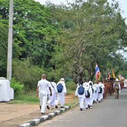 Pilgerweg nach Anuradhapura