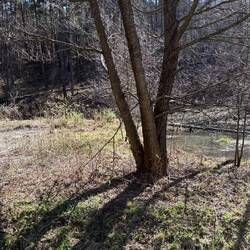 Vorbei an sumpfigen Wäldern