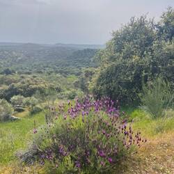 Menschenleere Gegend, heute kaum Sicht ins Land