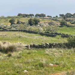 Abgrenzen der Felder durch Natursteine