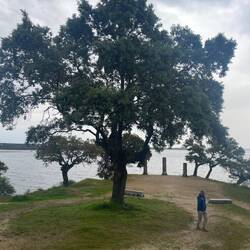 Im Hintergrund weitere Reste römischer Säulen. Martin ist begeistert... wie man sieht.