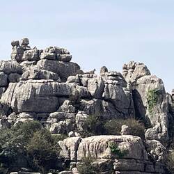 Suchbild...Wo ist die Gemse?