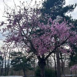 Beste Reisejahreszeit 😍