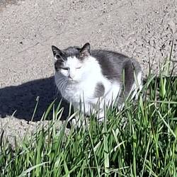 Ich wurde zuerst beobachtet und dann verfolgt