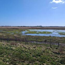 Vidå - ruhig und idyllisch