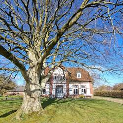 Schönstes Haus und schönster Baum in Klanxbüll