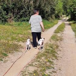 Meine 2 Stalker wieder...