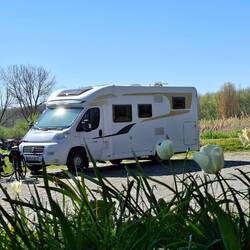 Eindeutig: Womo im Frühling