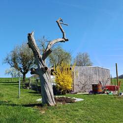 tja, er wird leider langsam zu einer Gefahr