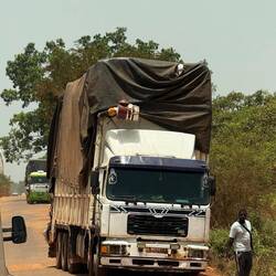 Dieser Laster hat Holz geladen! Ich möchte nicht wissen was der auf die Waage bringt