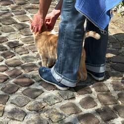 Begrüßung durch den Burgherren