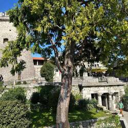 Blick vom Südturm auf den Innenhof (Richtung Norden)
