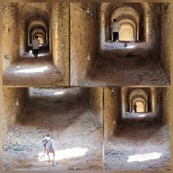 Man kann unter der Brücke durchlaufen