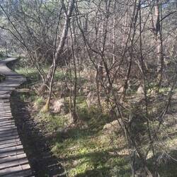 Ich liebe alte Moore