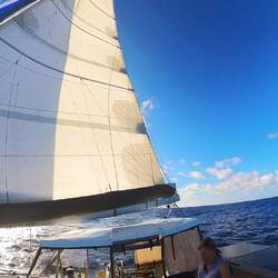 alles in allem ein wunderschöner Segeltag