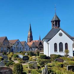 Fischersiedlung Holm: Blick auf den Dom