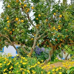Kurz nach dem Start erfreute ich mich an dieser Farbenpracht