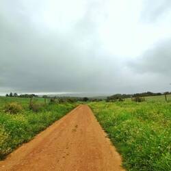 Schöner Weg hoch oben. Leider wenig Fernsicht aber eine tolle hügelige Landschaft