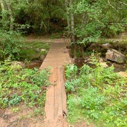 ...eine total vertrauenswürdige Brücke! 💪🏼