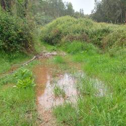 Diesmal gab es kein drumrum... Durch oder drüber...