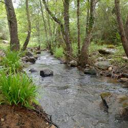 Mein Weg führte nach luftigem Kammweg nun entlang des Flusses