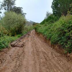Spannende Wege gab's auch. Zum Glück war der Schlamm noch relativ fest