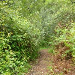 Über sehr schmale Pfade...