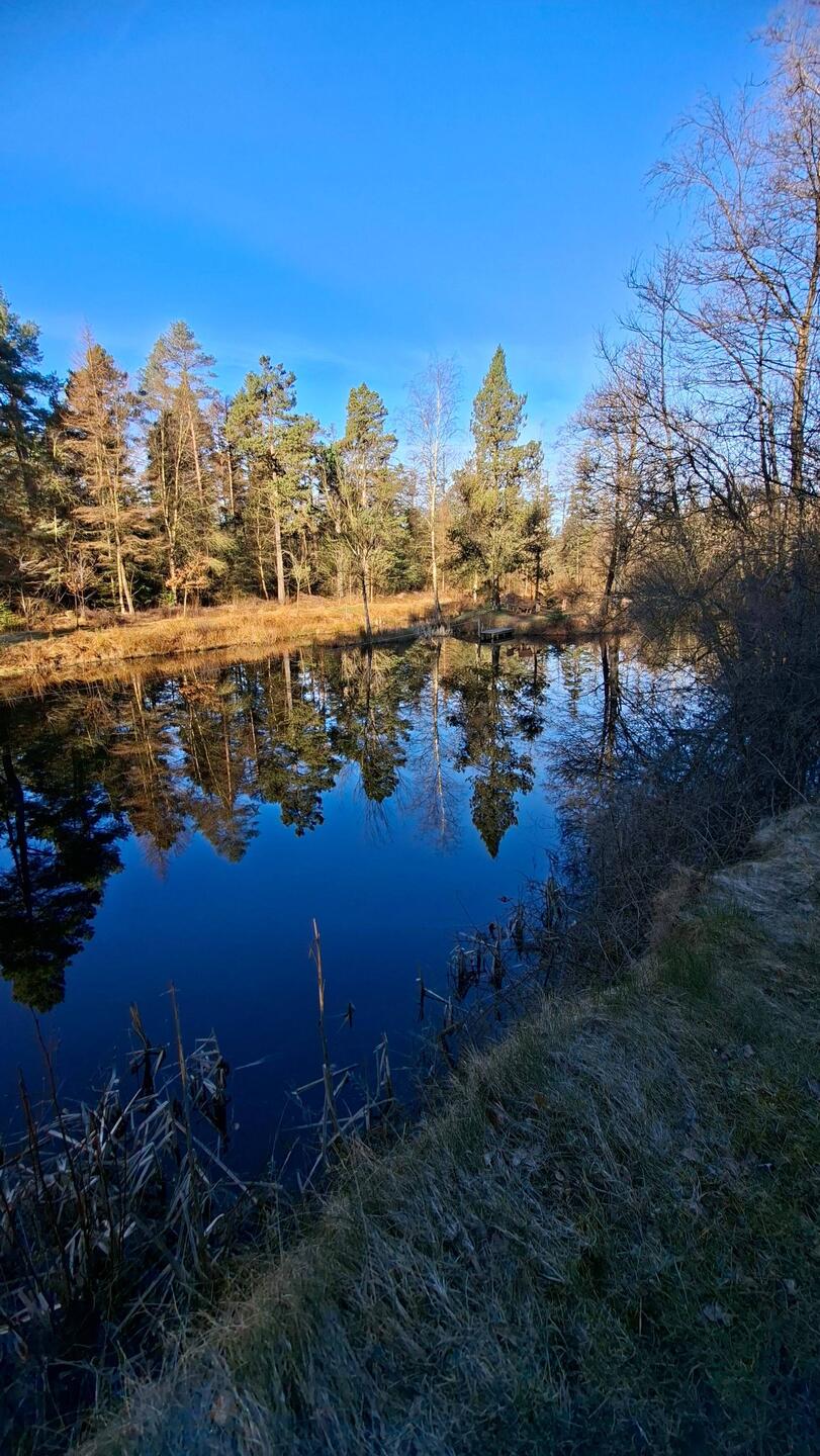 Wildes SH Süderlügum