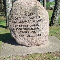 ARTIKEL 1 GRUNDGESETZ