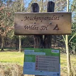 Bei den Temperaturen eher nicht👍