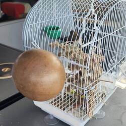 Die Schlafmupfel für Maria und Carlito. Drei Tage hatten sie sie skeptisch beäugt.