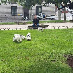 Are these guys the cutest? There are 4.