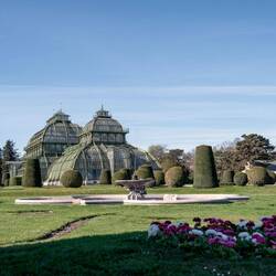 Palmenhaus