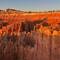 Sunrise Point