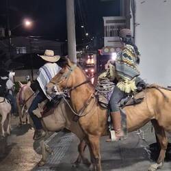 Und geritten wird noch spätabends