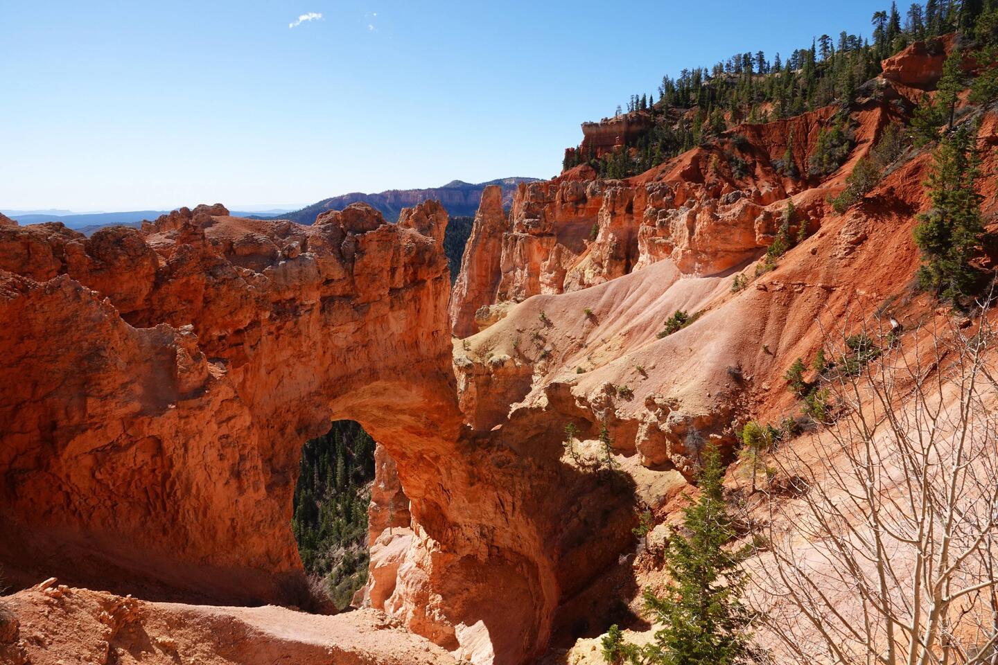 Natural Bridge