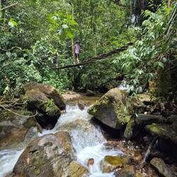 Wackelige Hängebrücke über einen Bach