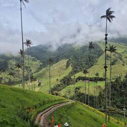 Aber sie sind auch beeindruckend