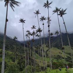 Es zieht kurz etwas Nebel auf
